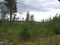 maaper�tutkimukset